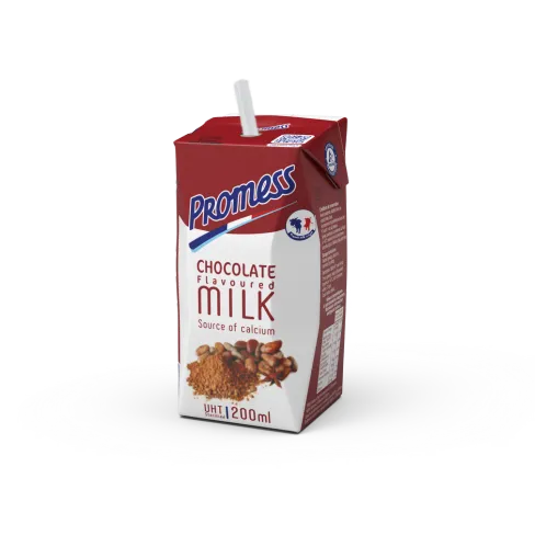 Chocolate Flavoured Milk Brick 200ml