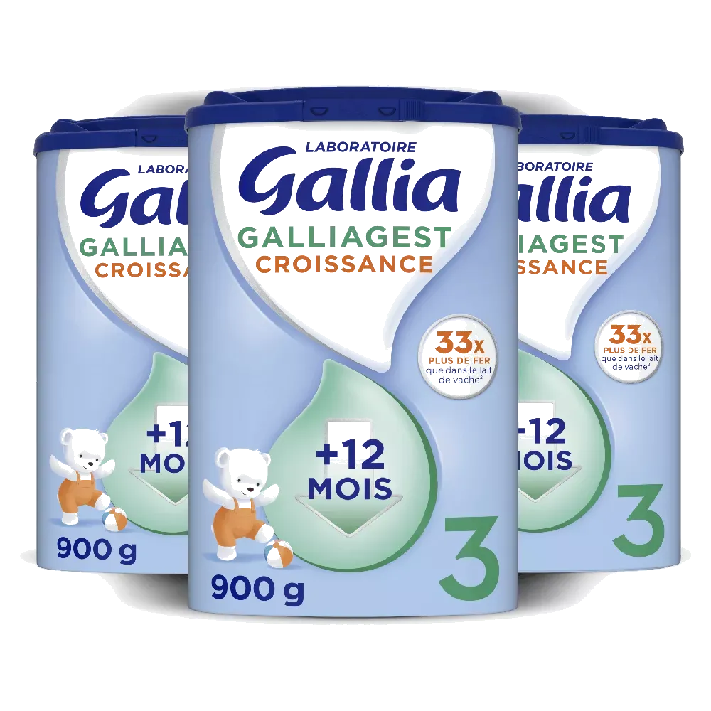 Galliagest Croissance